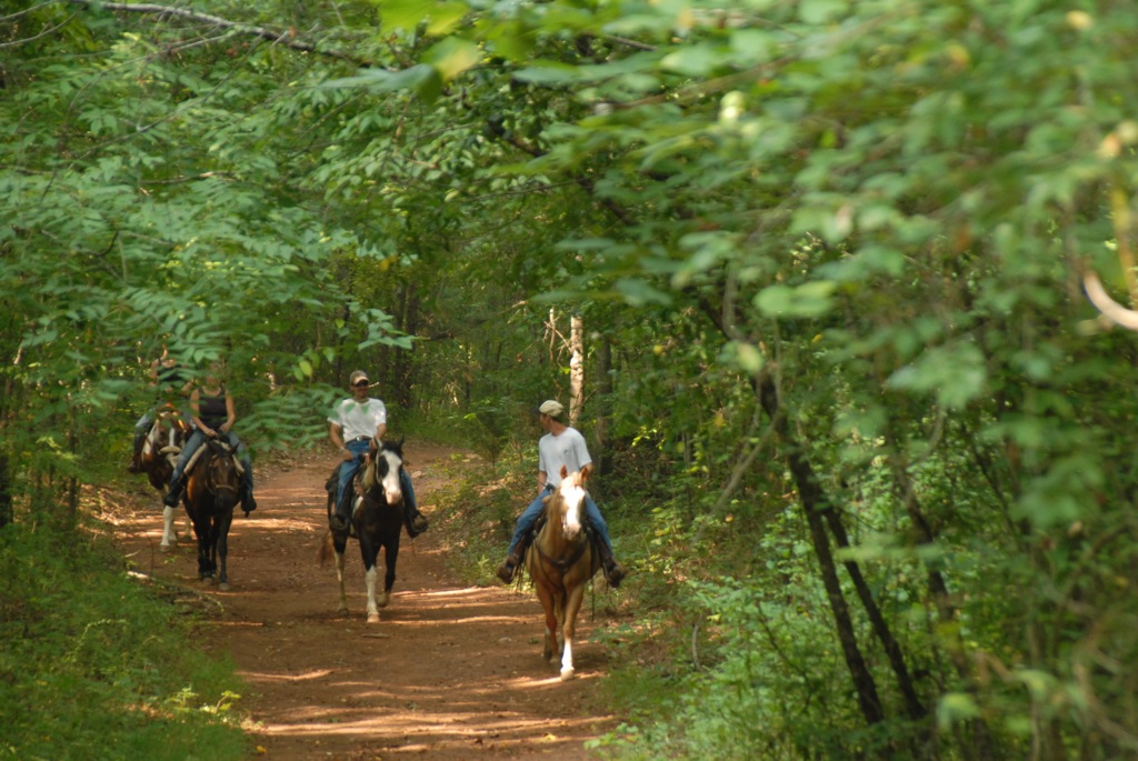 Southern Cross Guest Ranch - Madison, Georgia