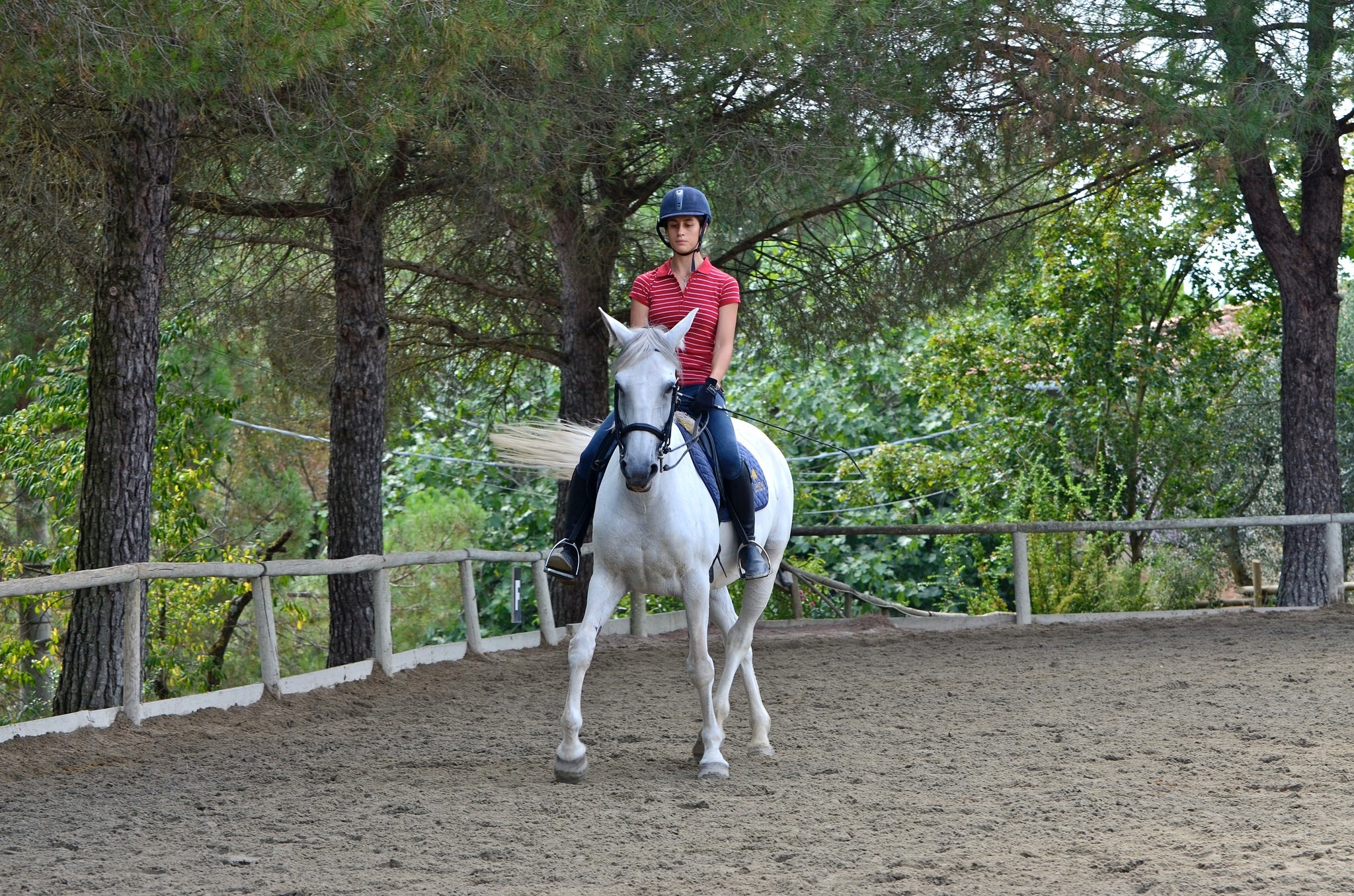 Horse riding holidays in Italy (10 destinations) Far and Ride