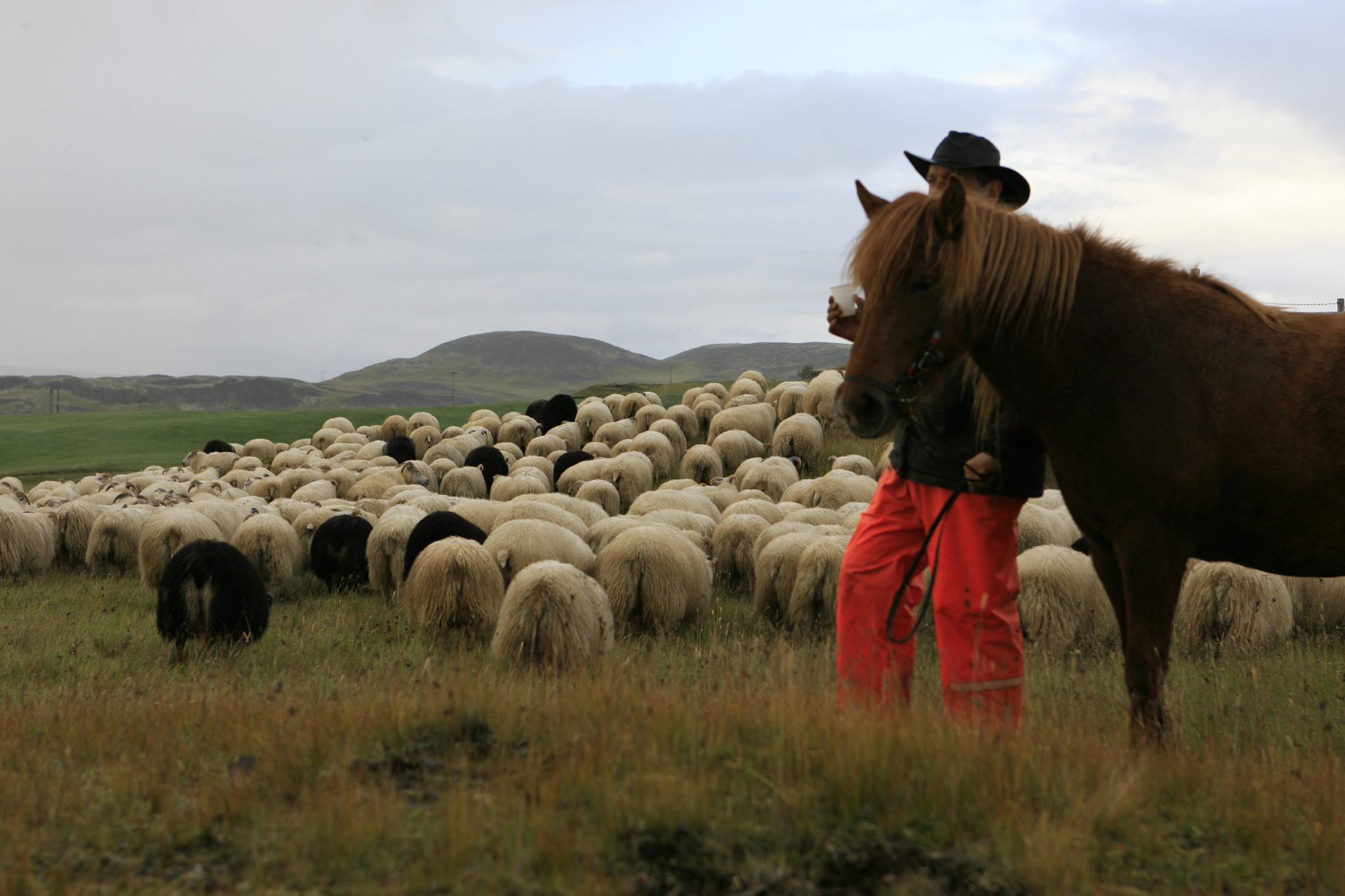 Iceland by horseback, horseback riding vacation