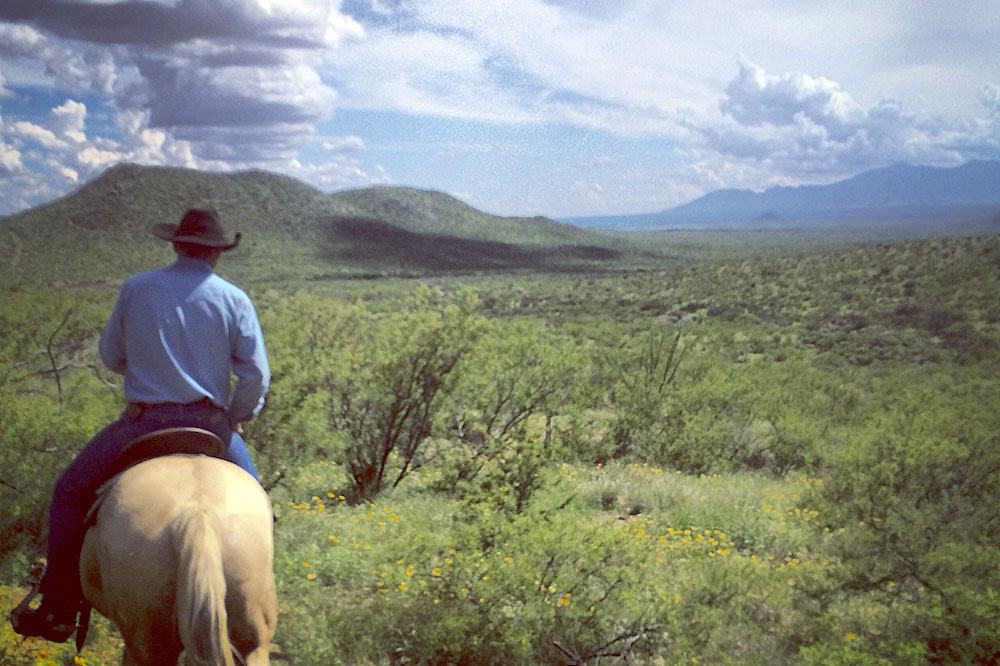 Photos of Arizona Tombstone horse ride in USA
