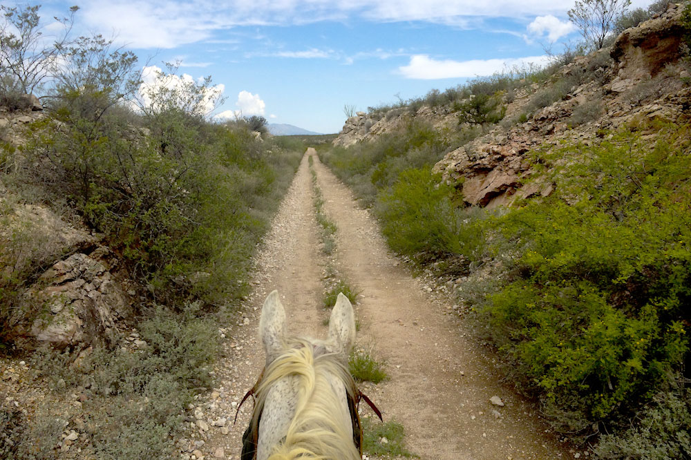 Photos of Arizona Tombstone horse ride in USA