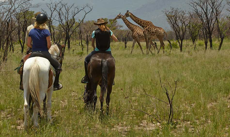 Horse riding holidays in South Africa (6 destinations) Far and Ride
