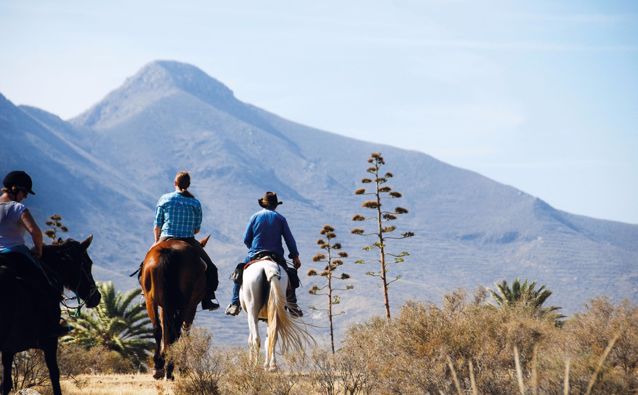 Horse riding holidays in Spain (13 destinations) Far and Ride