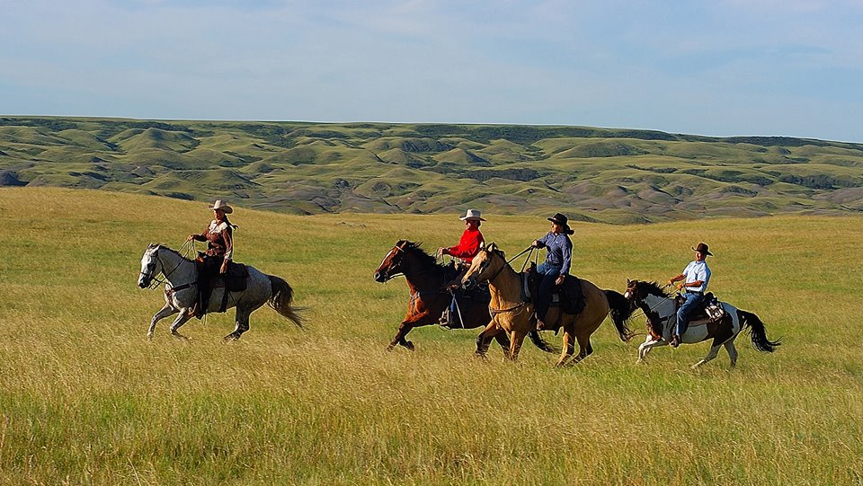 Photos of Canada Cattle Ranch horse ride in Canada