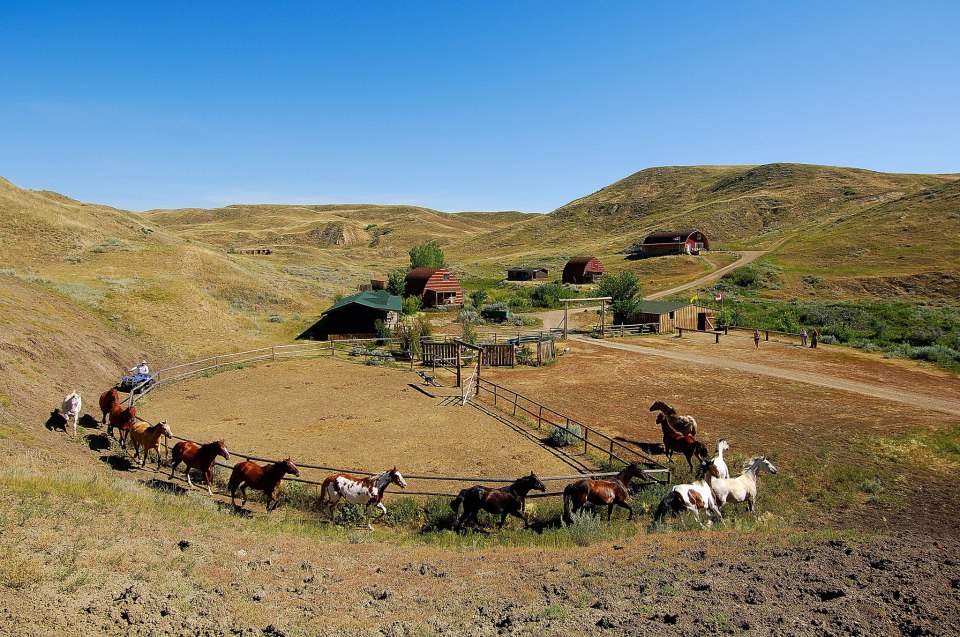 Photos of Canada Cattle Ranch horse ride in Canada