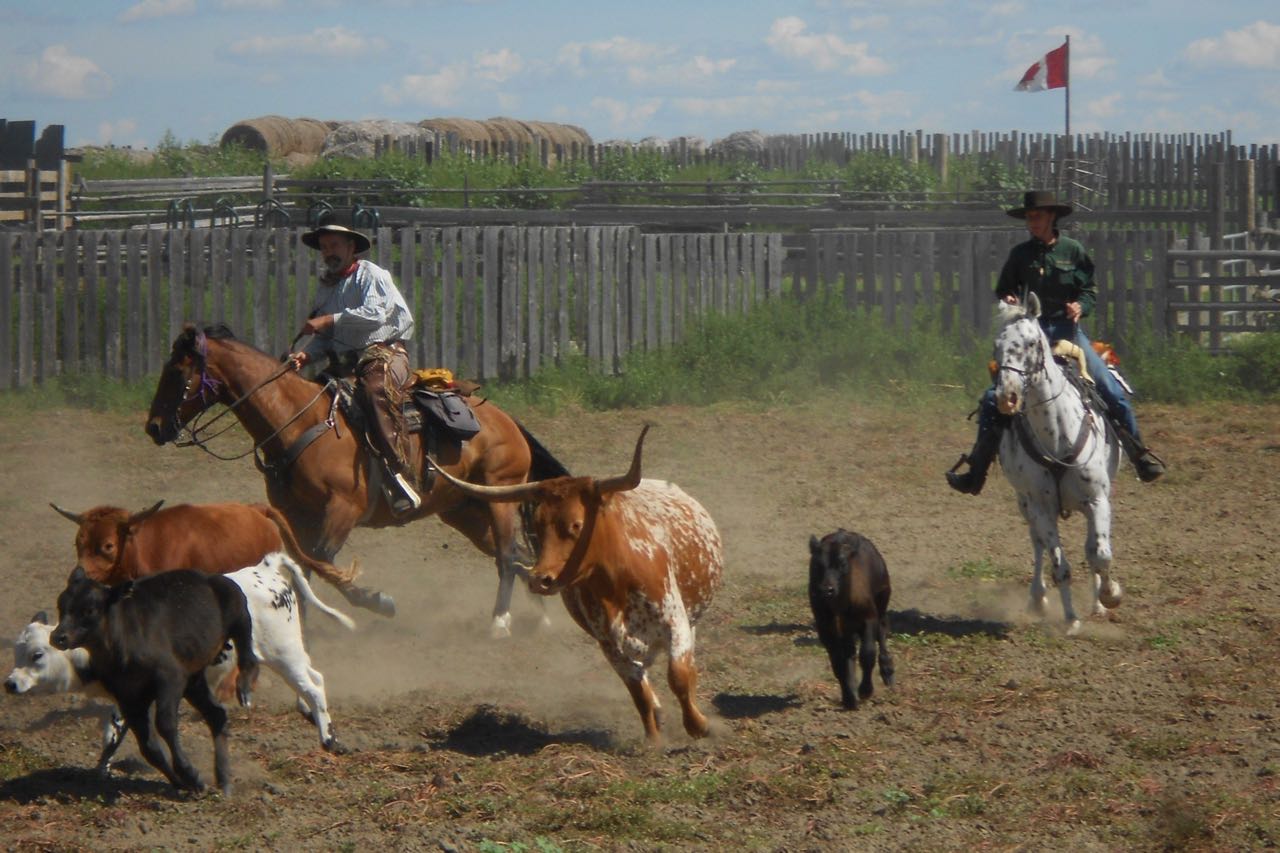 Photos of Canada Cattle Ranch horse ride in Canada