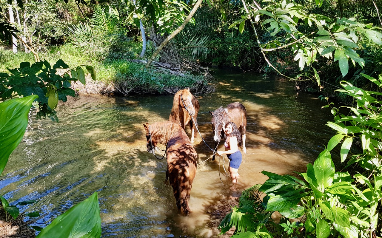 Photos of Darwin's Rainforest horse ride in Brazil