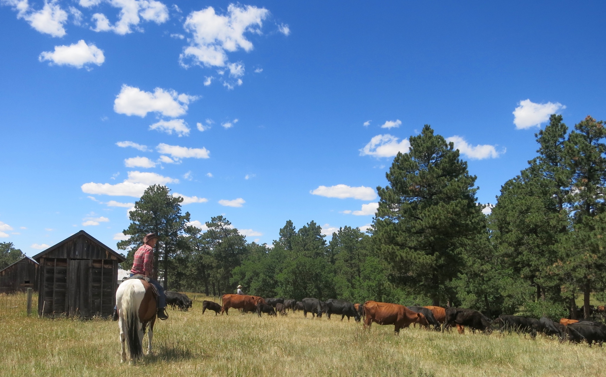 Photos of Wyoming Working Ranch horse ride in USA