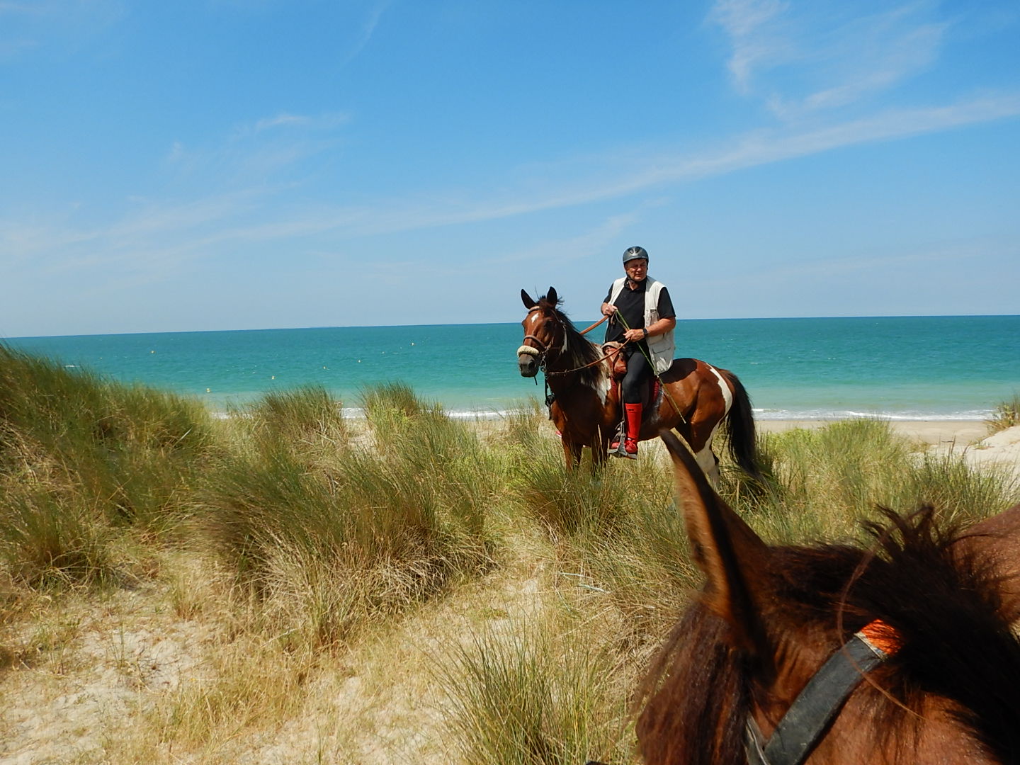 Horse riding holidays in France (15 destinations) Far and Ride