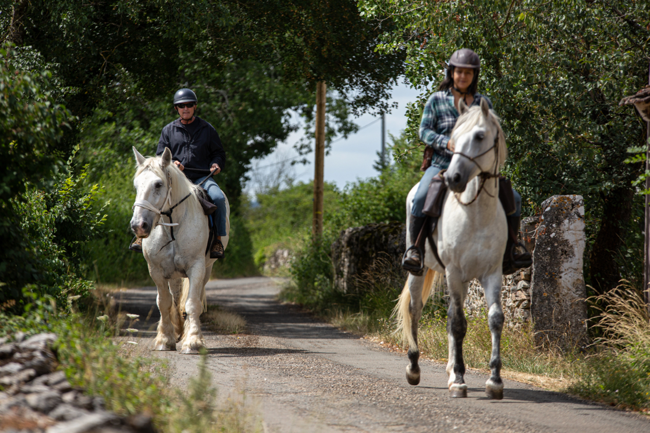 Horse riding holidays in France (15 destinations) Far and Ride