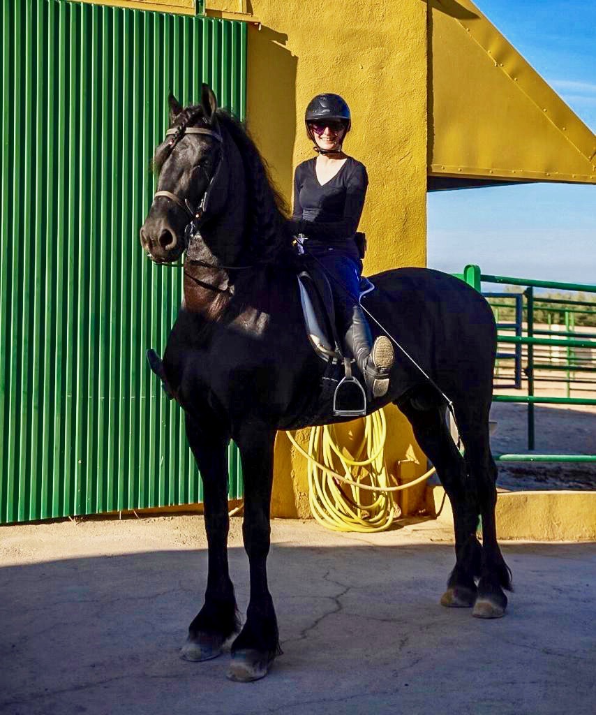 Photos of Friesian Dressage and Beach horse ride in Spain