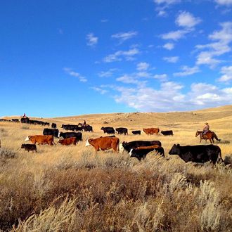 Photo from the Canada Cattle Ranch ride