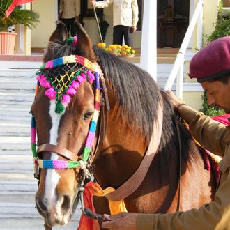 Photo from the Roop Niwas Kothi Hotel ride
