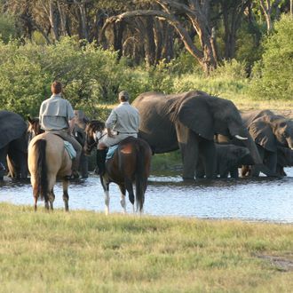 Photo from the Ride Zimbabwe (Varden Safaris) ride