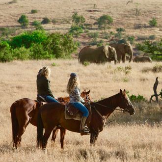 Photo from the Borana ride