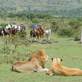 Photo from the Offbeat Safaris ride