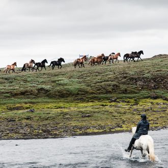 Photo from the Kjolur ride