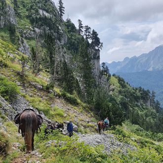 Photo from the The Mountains of Montenegro ride