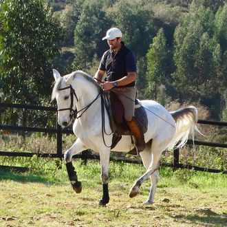 Photo from the Lusitano Dressage ride