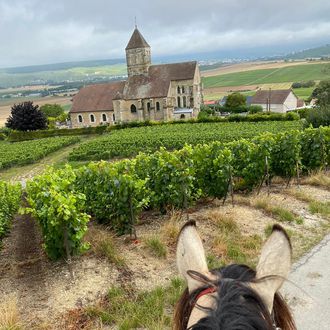 Photo from the Vineyards of Champagne ride