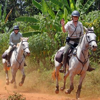 Photo from the Nile Horseback Safaris ride