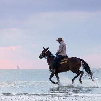 Photo from the Mozambique Horse Safaris ride
