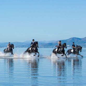 Photo from the Friesian Dressage and Beach ride