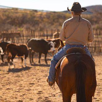 Photo from the Arizona Hacienda Ranch ride