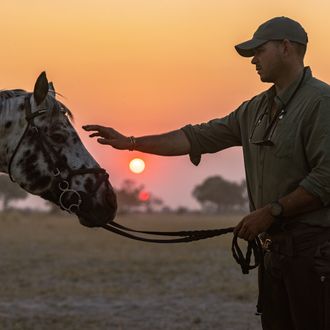 Photo from the Okavango Horse Safaris ride