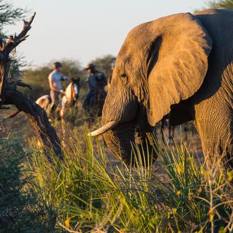 Photo from the Horizon African Explorer ride