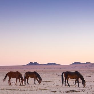 horse riding safari namibia