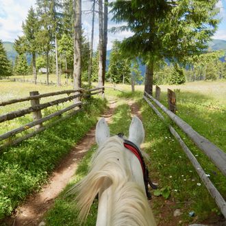 Photo from the Szekely Trails ride