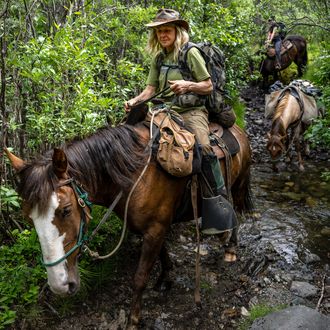 Photo from the Caribou Mountains ride
