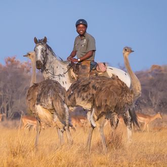 Photo from the Horizon Horseback Adventures and Safaris ride