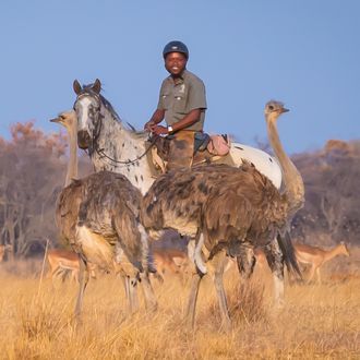 Photo from the Horizon Horseback Adventures ride