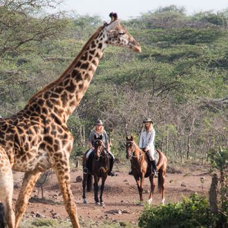 safari unlimited kenya