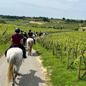 Photo from the Sancerre Rides ride