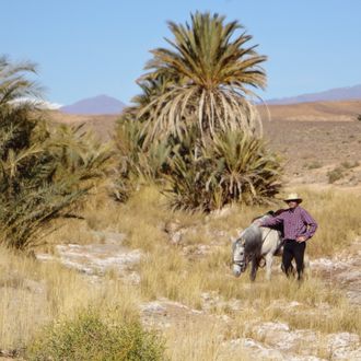 Photo from the Ouarzazate ride