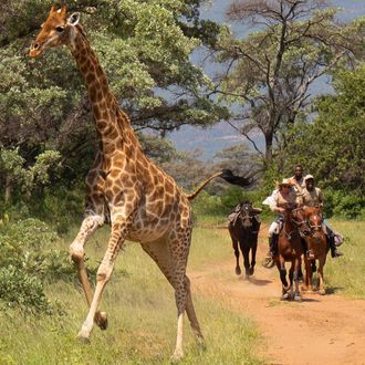 Photo from the Waterberg Big Five Safari ride