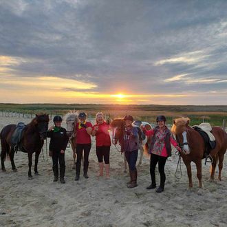 Photo from the Danish Beach Trails ride