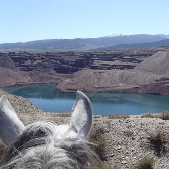 Photo from the Sierra Nevada Trails ride