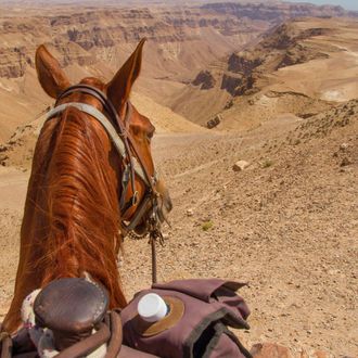 Photo from the Tour Israel ride