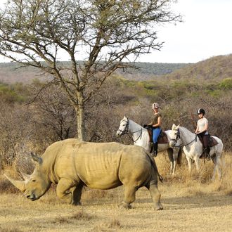 Photo from the Ant Africa Safaris ride