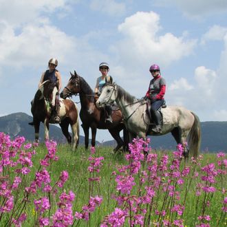 Photo from the Kupres Farm ride