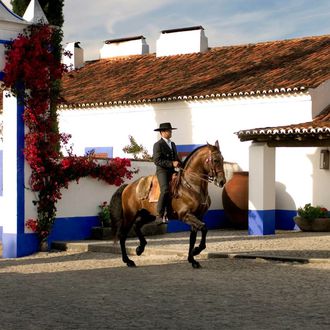 Photo from the Monte Velho Equo Resort ride