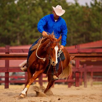 Photo from the Western Ranch  (El Bronco) ride