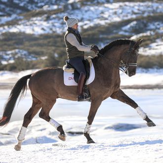 Photo from the North Portugal Dressage & Wine Estate ride