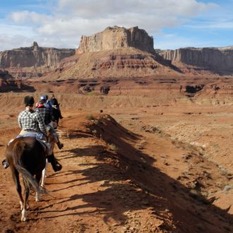 Photo from the Utah Backcountry Trails ride