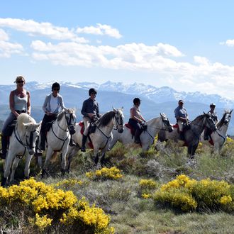 Photo from the Sierra de Gredos ride