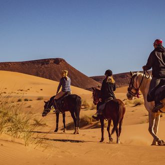 Photo from the Sahara Desert Trails ride